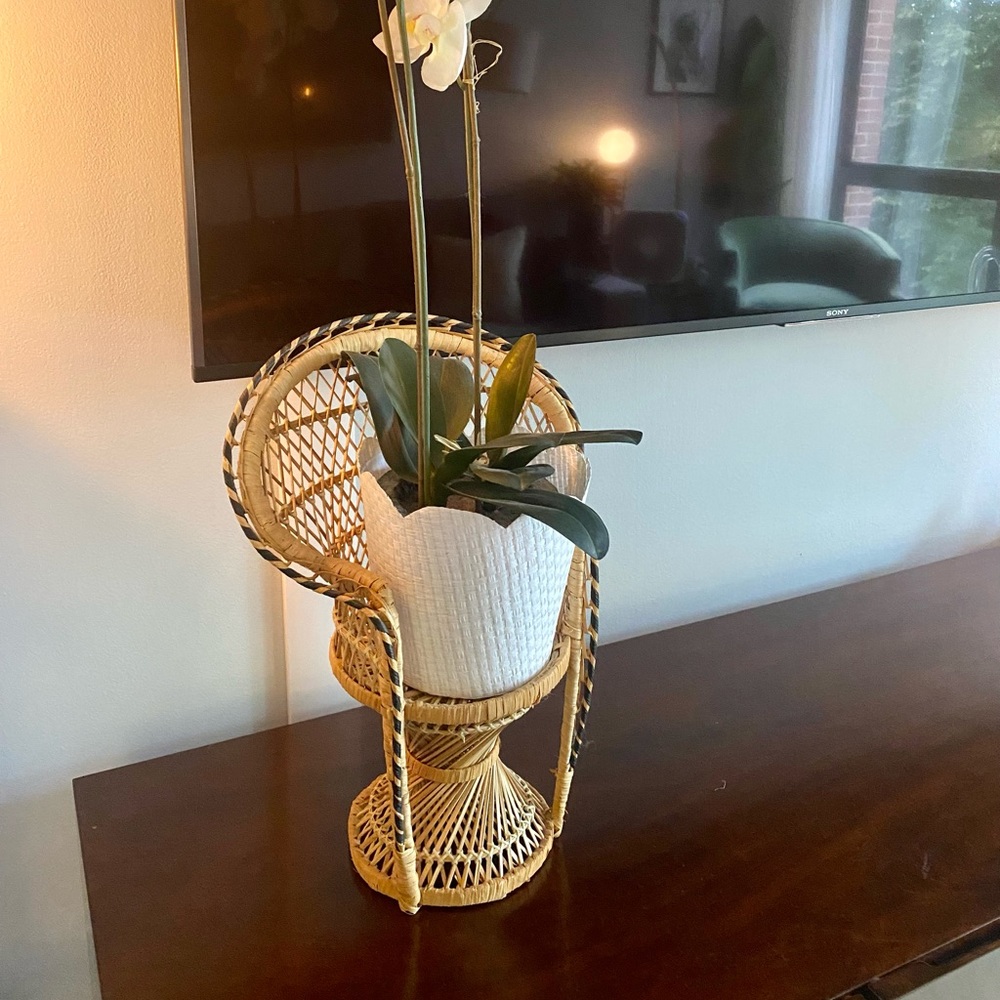 🌼NEW🌼 Wicker Peacock / Bahamian Chair Plant Stand